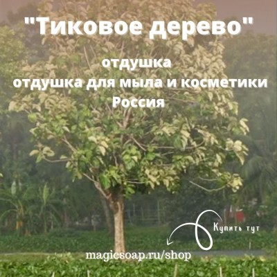 "Тиковое дерево " - отдушка для мыла и косметики