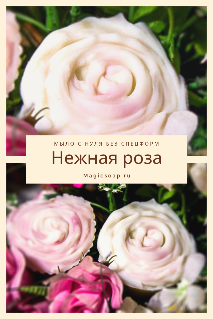 Цветы из мыла своими руками, В.Н. Пашинский